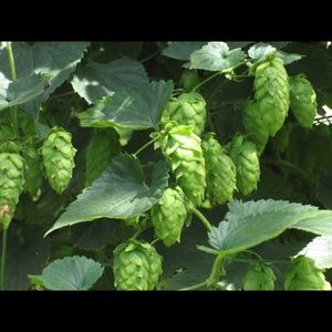 Meet your Posher, Andy